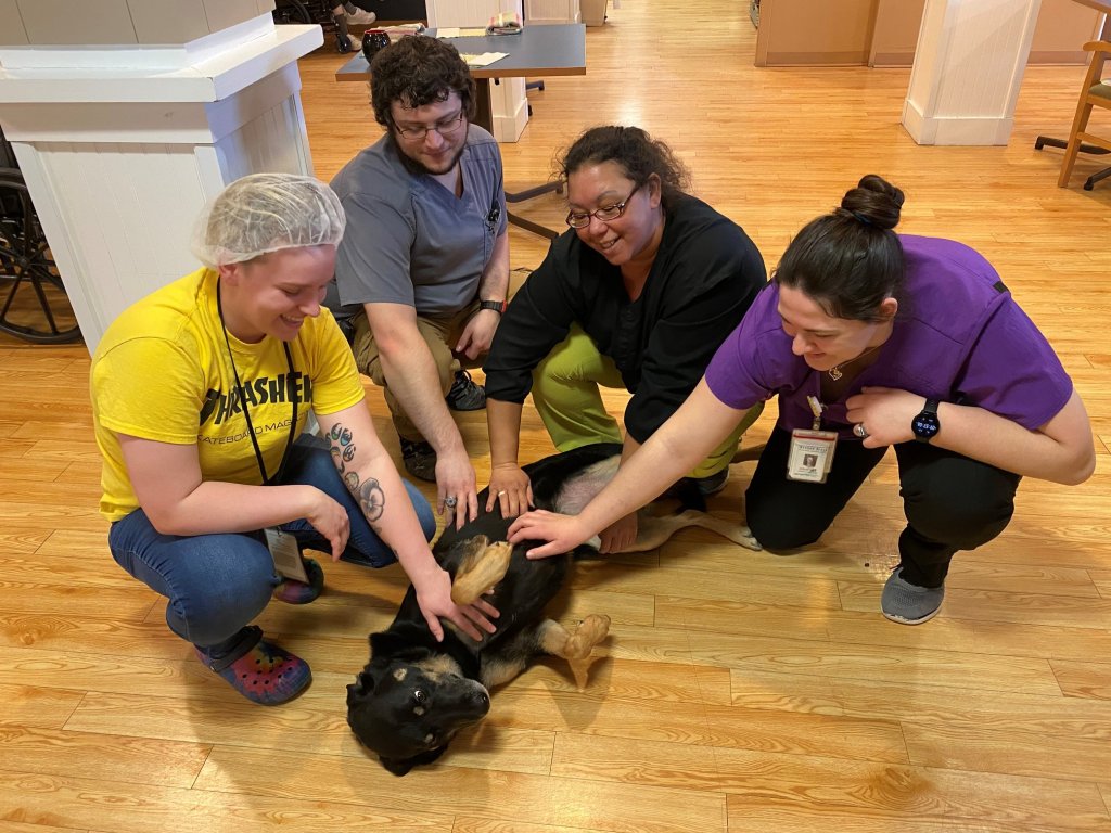 Staff at the nursing home love their new dog, Scout. 