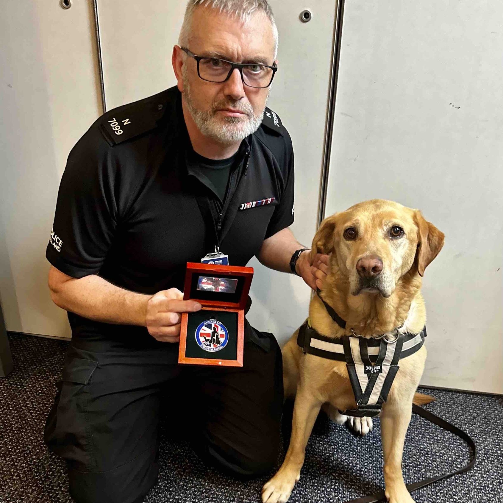 Drug sniffing dog sits with medal.