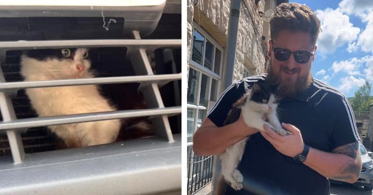 A two-photo collage. The first shows the view of a black and white cat named Gizmo sitting behind the grille of a car. She looks frightened. The second photo shows a man named Tom Hutchings smiles as he walks while holding Gizmo in one hand. With the other hand he's holding her paws. They're outside.