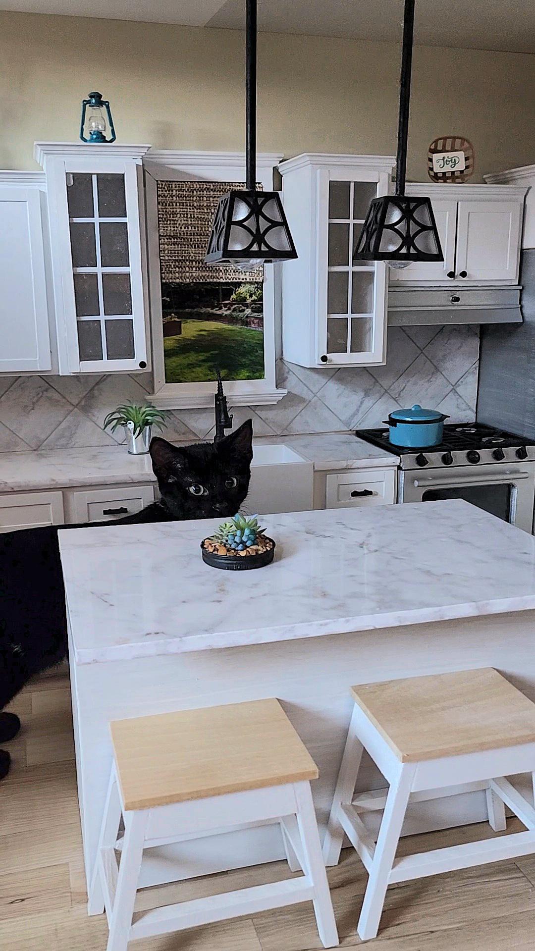A small black cat looks huge because she's standing partially behind a kitchen island in a dollhouse kitchen.