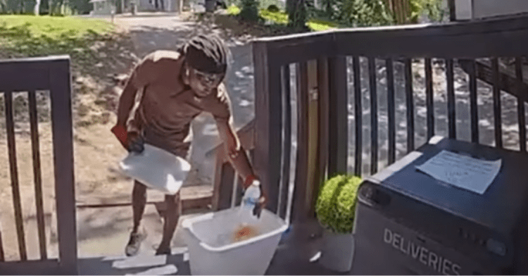 UPS delivery driver picks up snacks from doorstep.