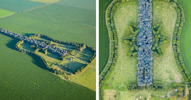 A two-photo collage. The first shows an ariel side-view of a field with the design of a guitar embedded within. The second photo shows a top-down ariel view of that same design.