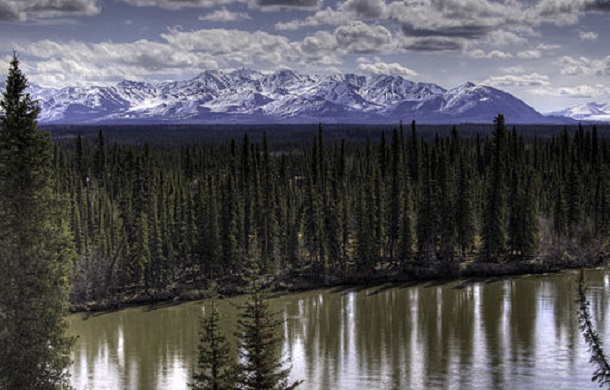 Image of the Alaska wilderness showing evergreen trees along a shoreline with a mountainscape in the background.
