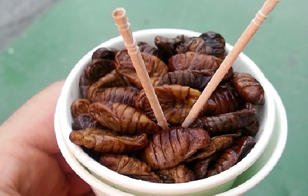 Image shows a small bowl of South Korean Beondegi, an appetizer made with silk worm pupae. Exploring ethnic foods can be interesting.