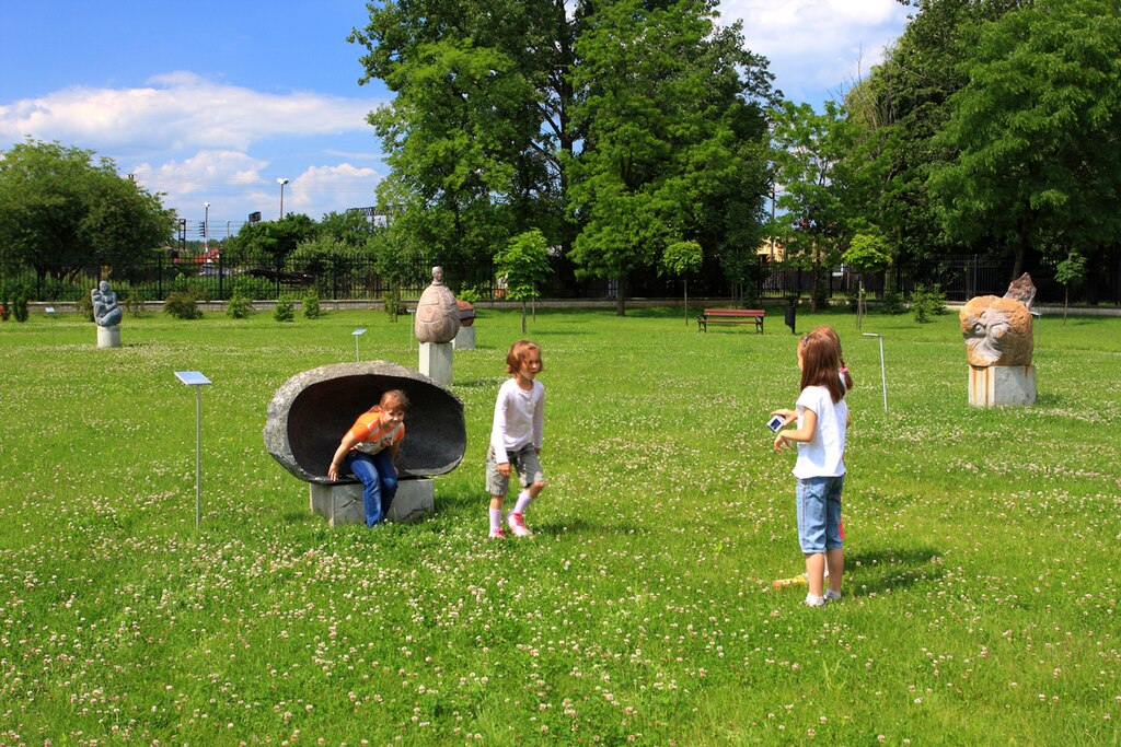 children playing on the lawn