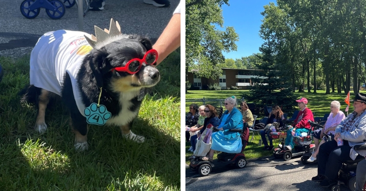 cleveland manor dog parade