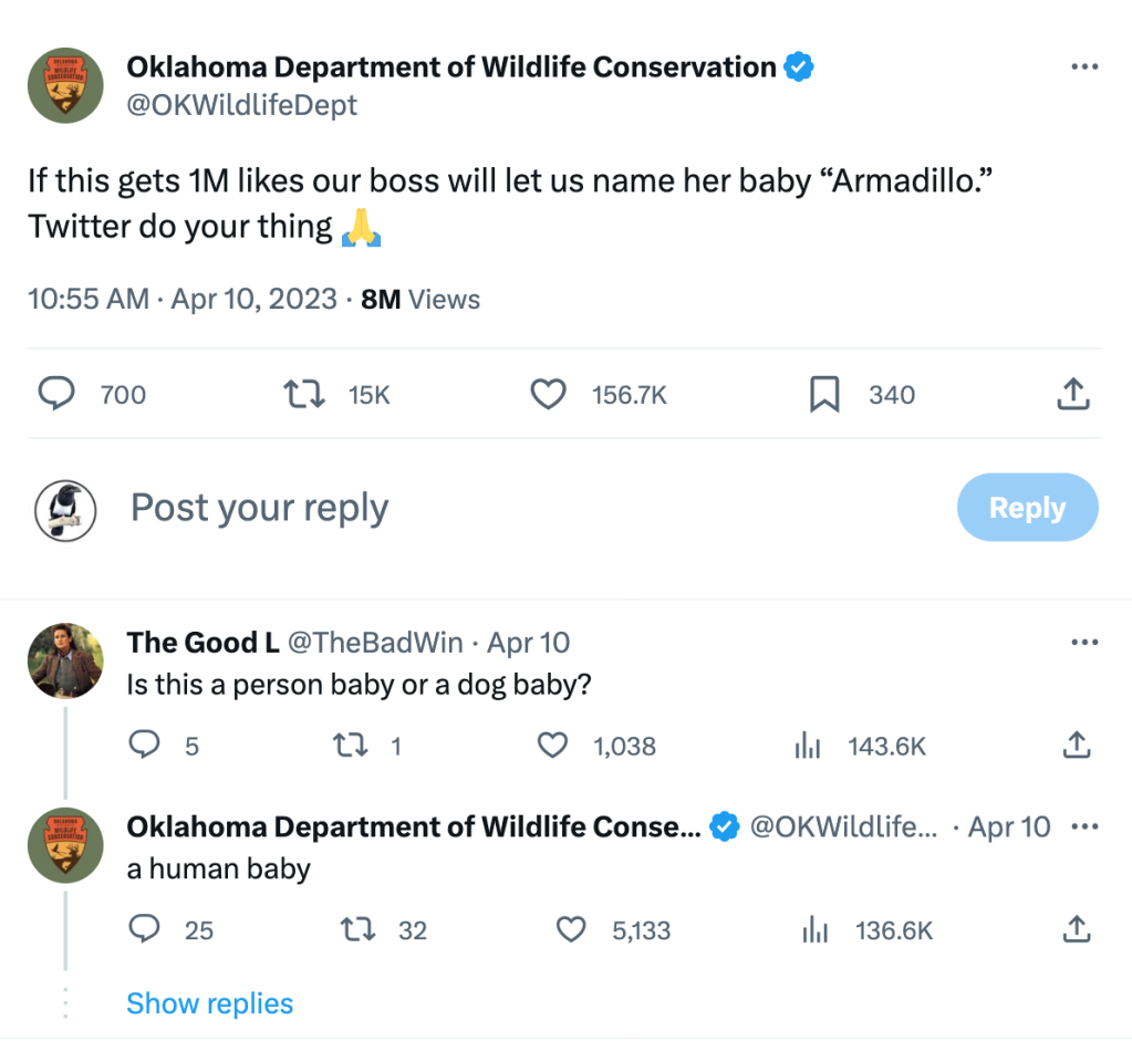 oklahoma department of wildlife conservation baby armadillo name
