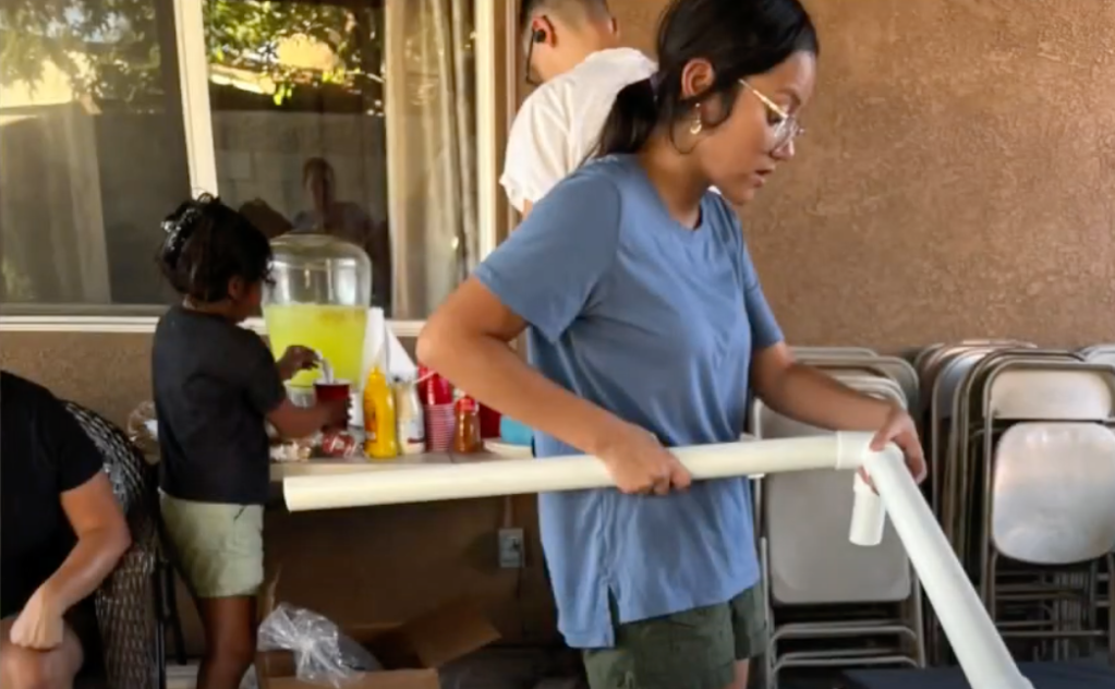 building beds for homeless dogs