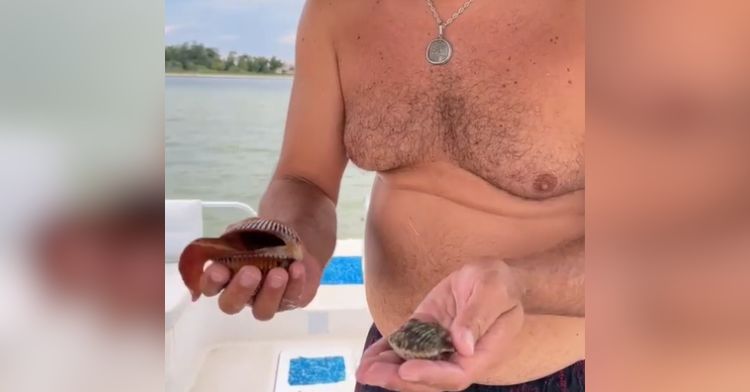 He wasn't expecting to get licked by a clam.