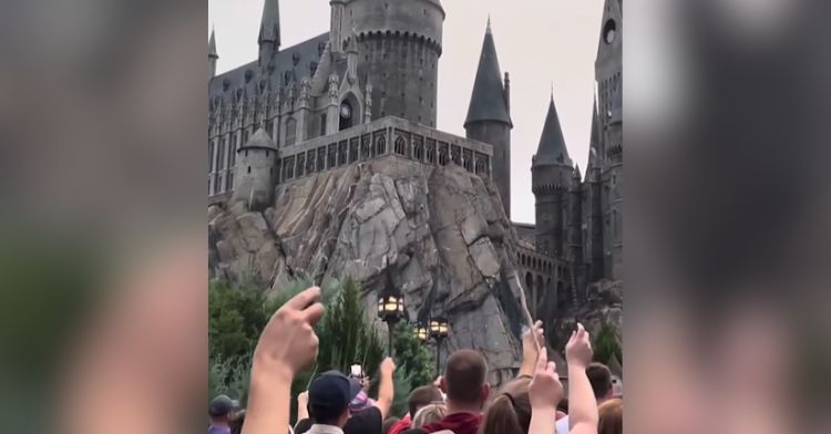 Fans honor actor Michael Gambon from the Harry Potter films.