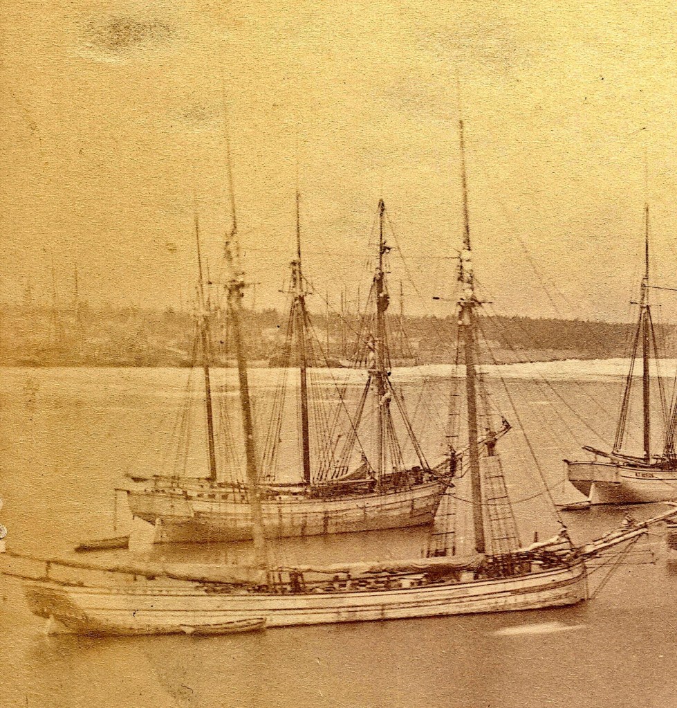 The Trinidad sank in 1881 during a coal delivery. 