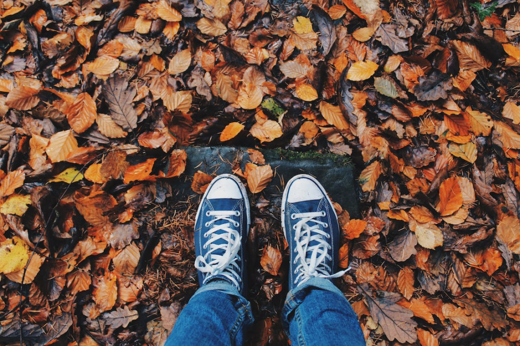 someone standing on leaves fallen on the ground