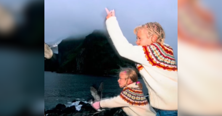 kids toss pufflings into ocean