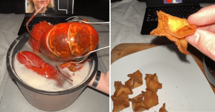lobster and crab rangoons in a bed