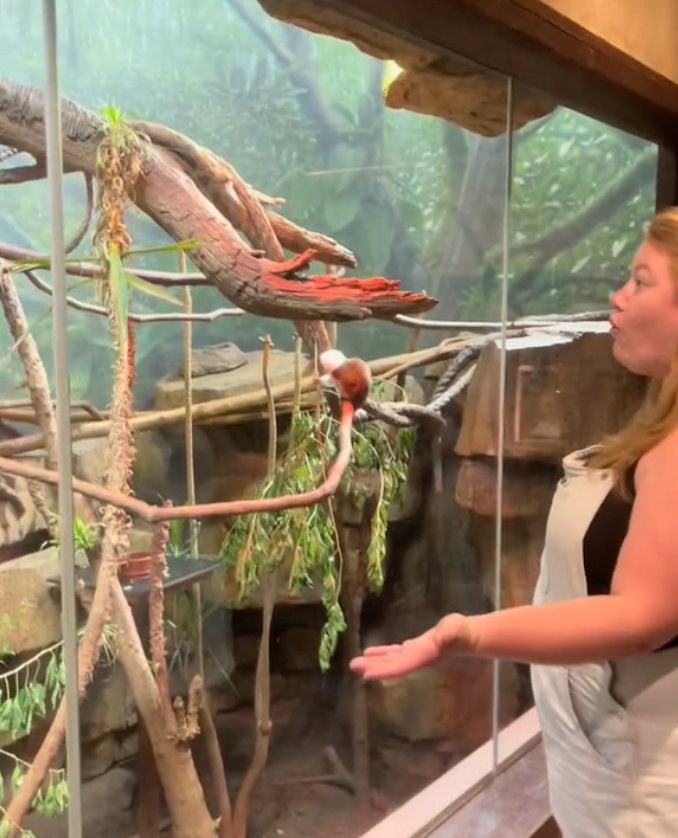 nashville zoo restrooms monkey exhibit