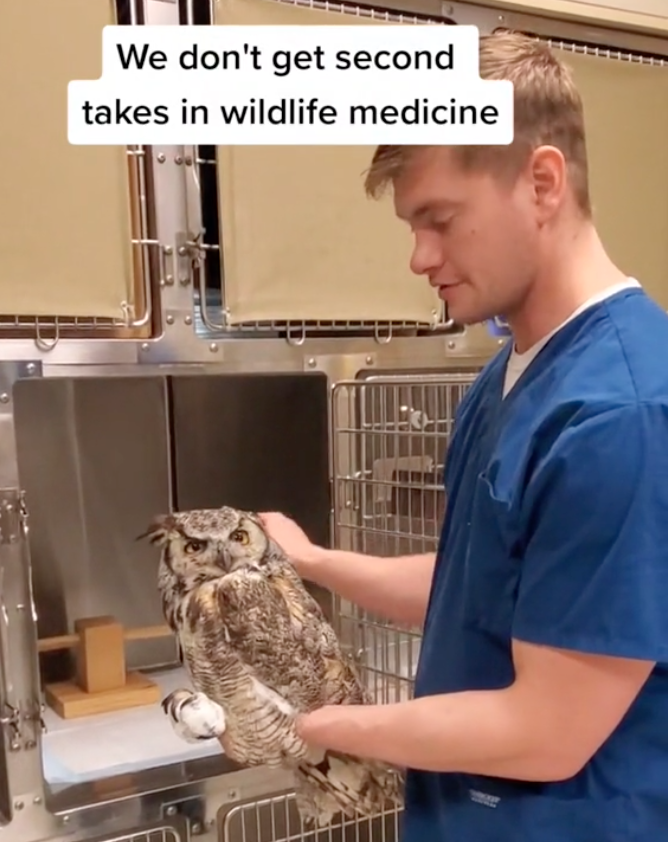 owl and dr. shrader