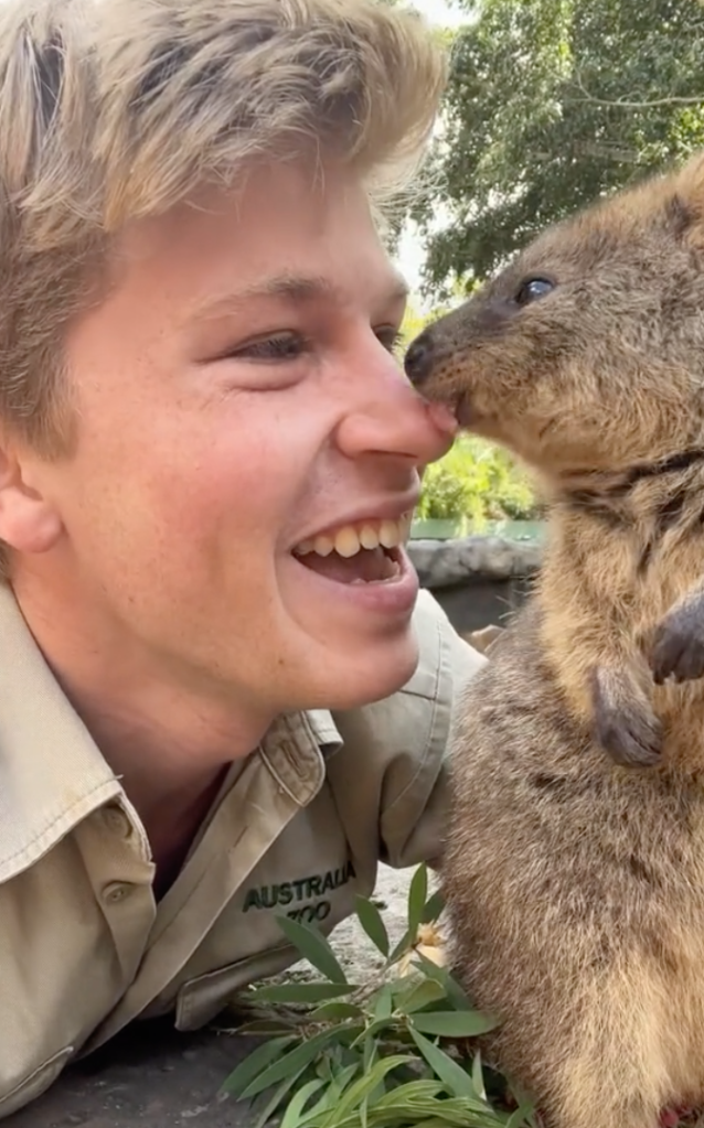 quokka and robert irwin