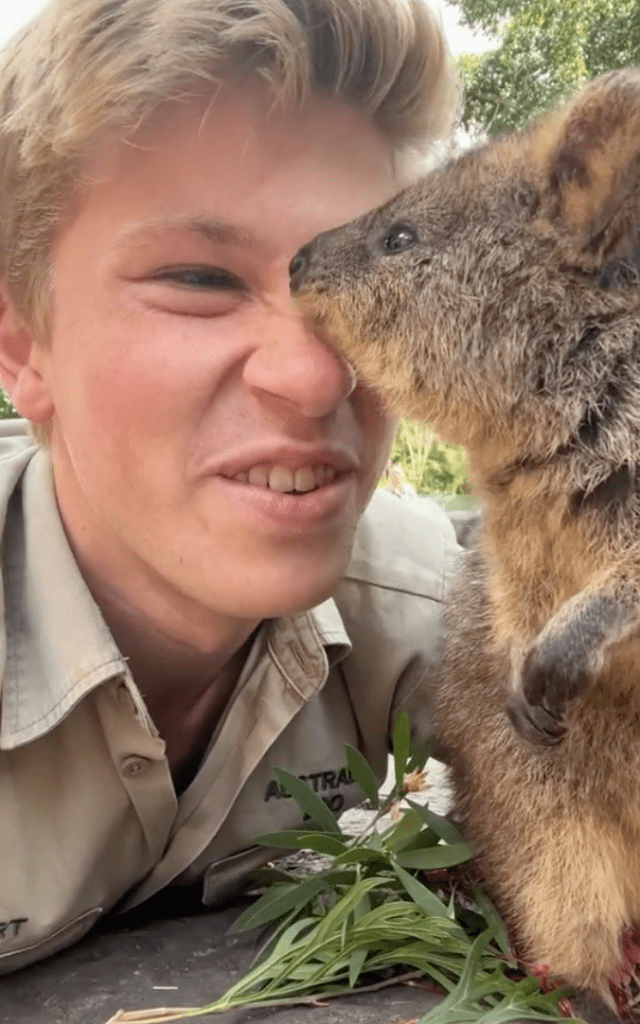 quokka with robert irwin