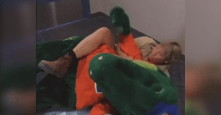 steve irwin wrestles florida gator mascot