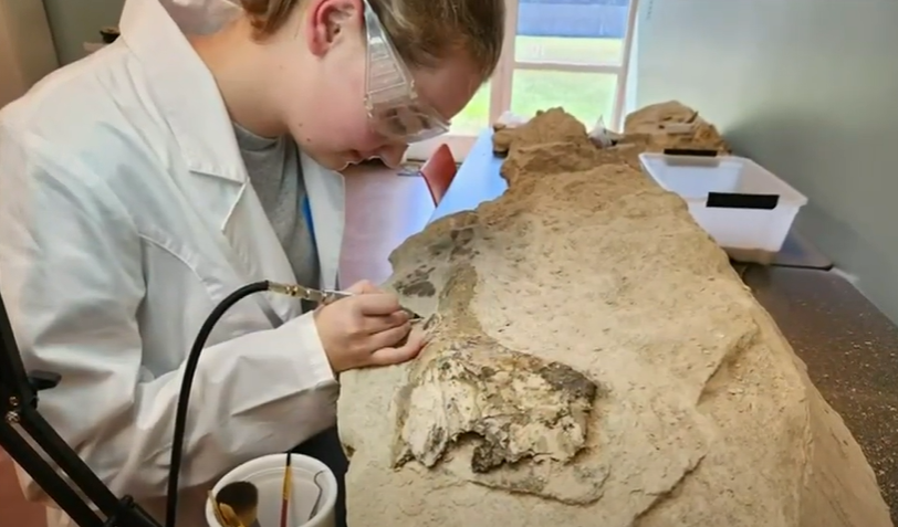 Lindsey is working on the project through a research fellowship.