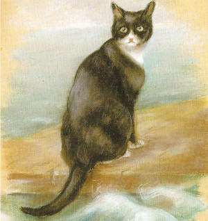 This cat survived three ships sinking.