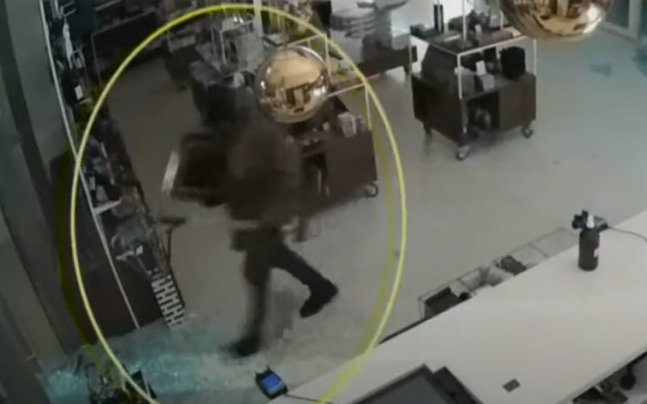 An art thief broke into a Dutch museum and walked out with a Van Gogh.