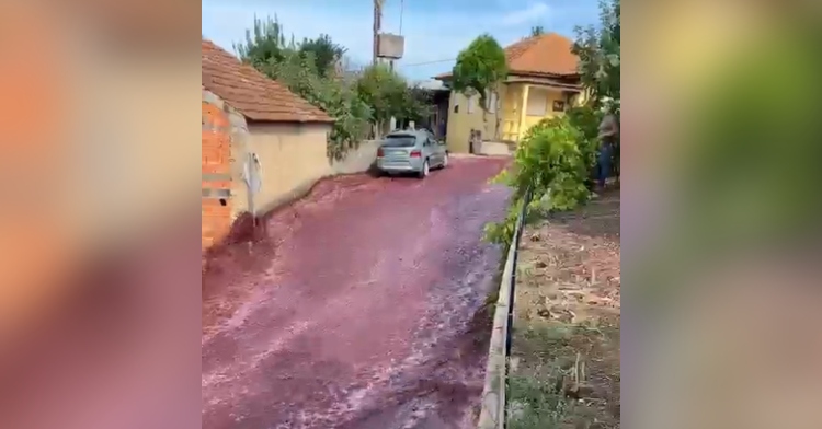 581,000 gallons of red wine cascade down a windy road in São Lourenço do Bairro, Portugal.