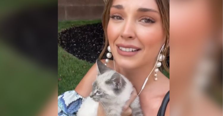 This woman met an adorable kitten on the street.