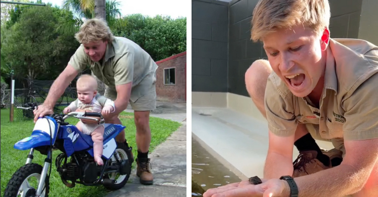 robert irwin with turtle steve irwin discovered