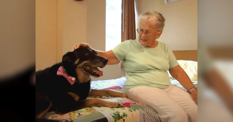 nursing home dog