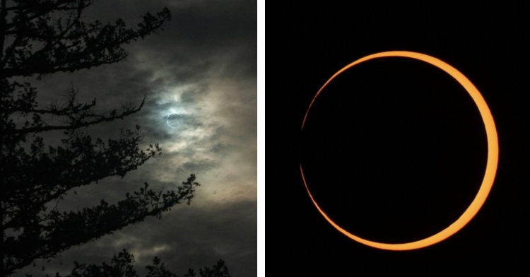 A two-photo collage. The first photo shows a view of the annular eclipse from a distance and through clouds. A shadow of a large tree is on the left side of the photo. The second photo shows a close up of the annular eclipse just as the moon is passing over the sun.
