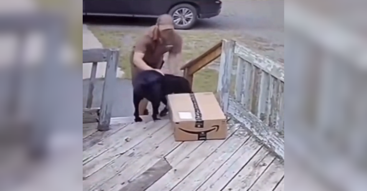 delivery man and dog