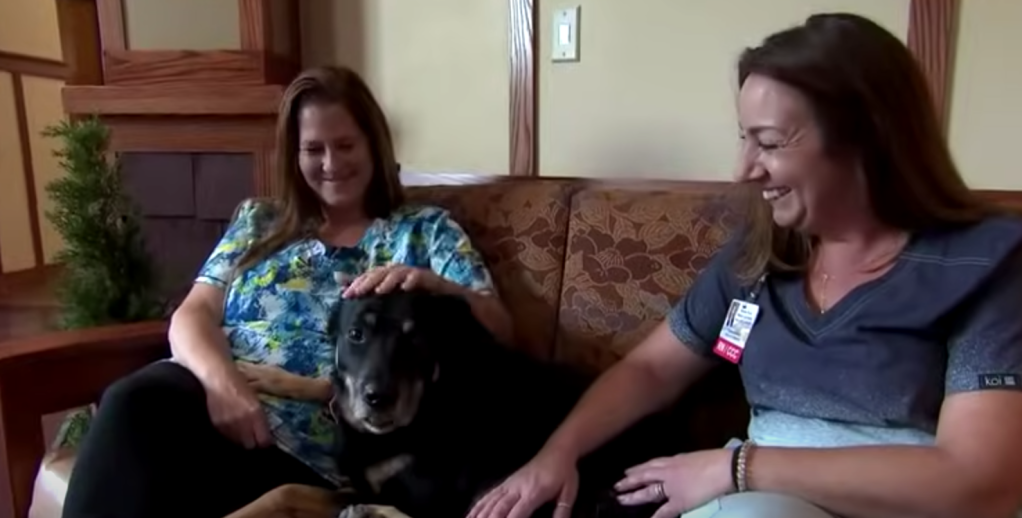 dog breaks into nursing home