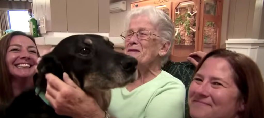 nursing home dog