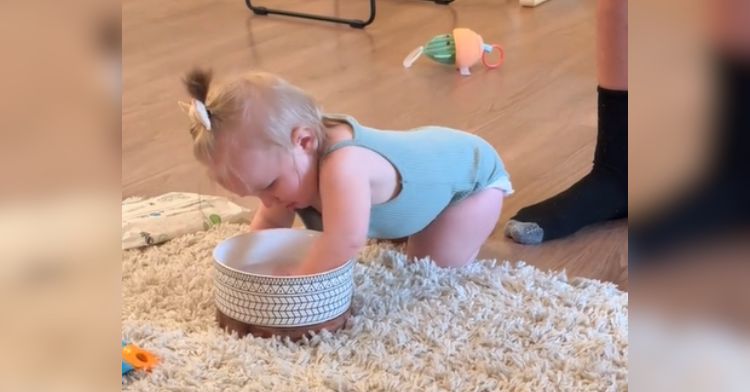 A baby is excited to play with the dog's water bowl.