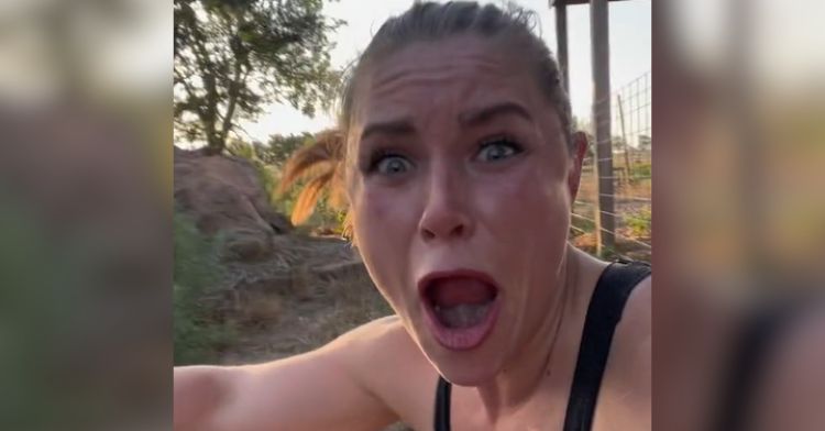 A woman loses it over the cutest little donkey.