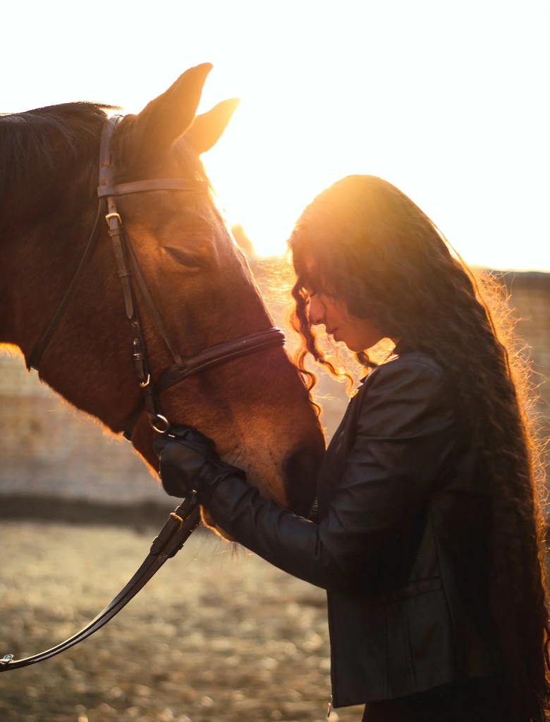 young woman hugs a horse