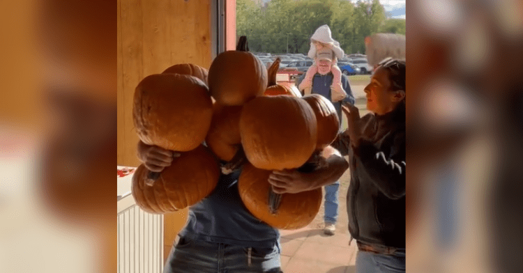 man carrying many pumpkins