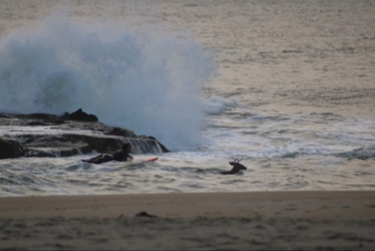 View of a deer swimming toward shore with the help of a nearby surfer, as taken by Adrienne Tully.