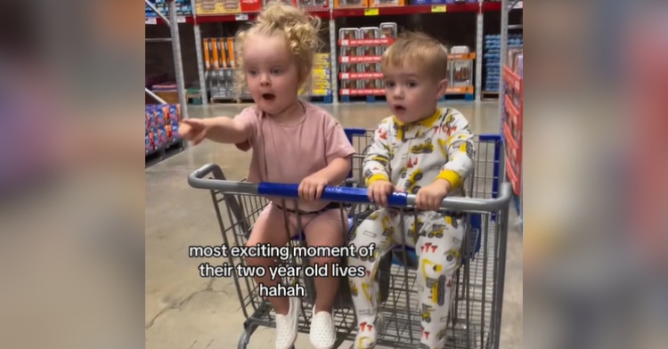 Two toddlers sit in a shopping cart. The little girl appears to be screaming as she points to something off camera. The little boy looks in that direction, eyes wide. Text on the image reads: Most exciting moment of their two year old lives, hahah
