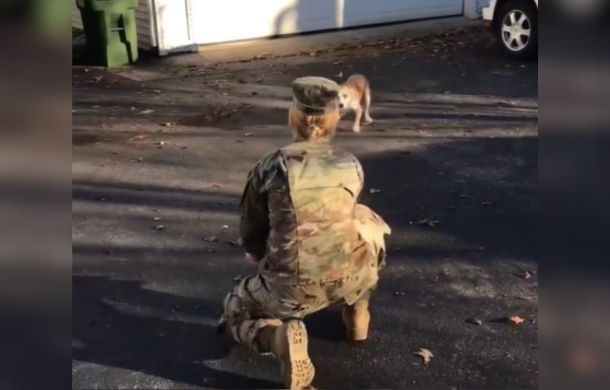 After deployment, a soldier enjoying a reunion with her dog. 