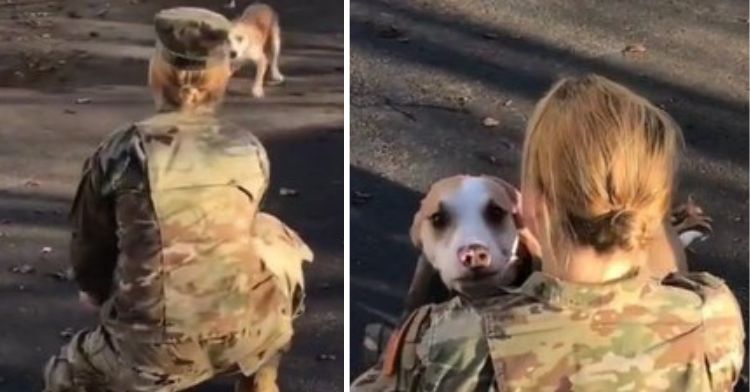 Left frame shows a dog running up to a military member returning home from deployment. Right frame shows dog and his mom enjoying a welcome home hug after her eight month deployment.