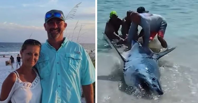 Left panel shows Texans Josh and Tiny Fey in Florida. Right image shows Josh Fey and three other men helping a stranded Mako shark.