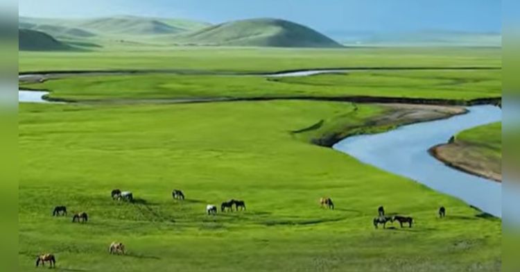 Hulun Bair Grasslands is home to agriculture, stunning vistas, and a giant 1200 meter grass slide.