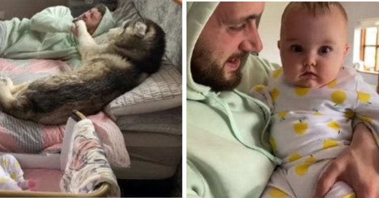 Left frame shows a husky "punching" a sleeping man. Right frame shows the man holding his infant daughter.