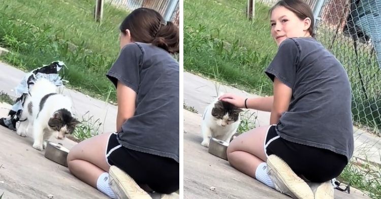 Girl gains trust of cat (first frame) to remove a trash bag tutu stuck on the cat's torso (second frame).