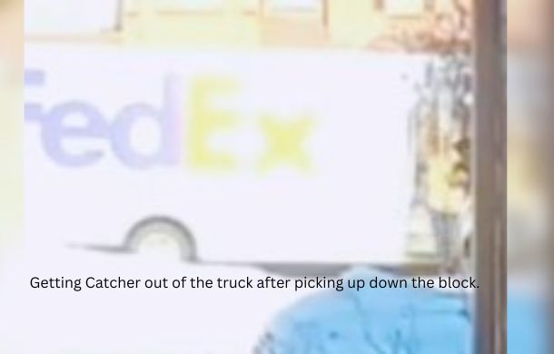 Blurry, sun-drenched image of a FedEx truck. You can barely make out the image of the driver carrying a large dog in the lower right-hand corner.