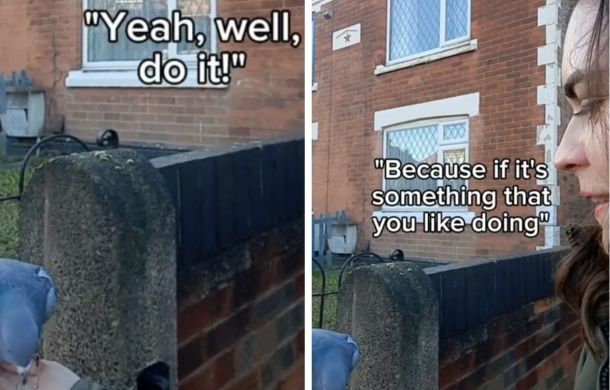 Words of encouragement from a stranger telling a homing pigeon trainer , "Yeah, well, do it! Because if it's something that you like doing."