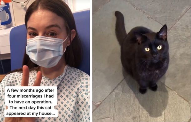 Left frame shows a woman in a hospital bed after four miscarriages. Right frame shows the black cat that became her angel kitty, helping her heal after surgery.