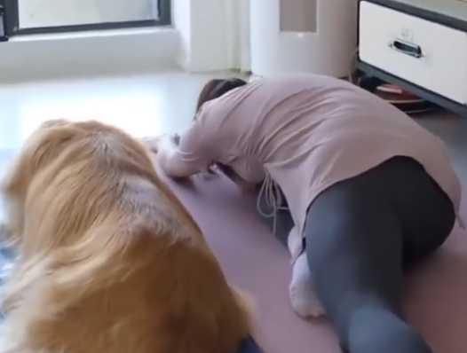 dog and woman lay on mat